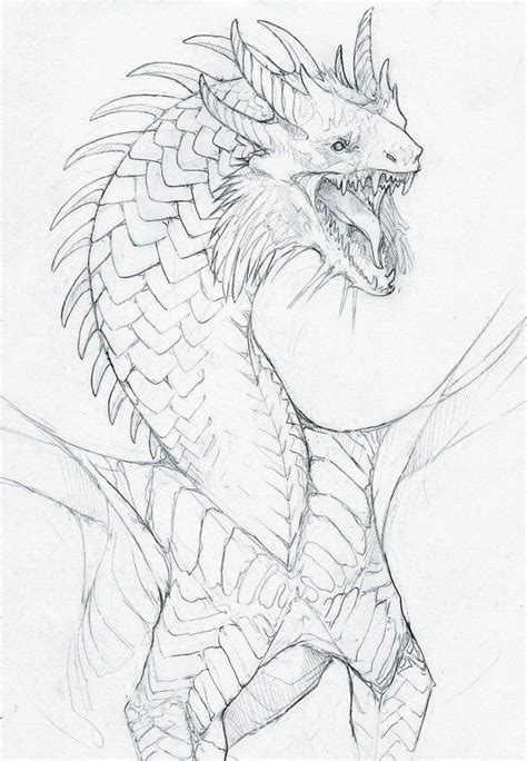 a drawing of a dragon with its mouth open and claws out, standing on ...