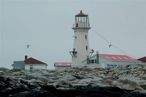 Machias Seal Island Lighthouse - ARTSIPELAGO