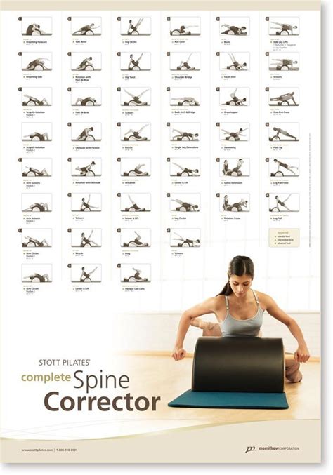 STOTT PILATES Wall Chart | Pilates, Mat pilates, Pilates workout