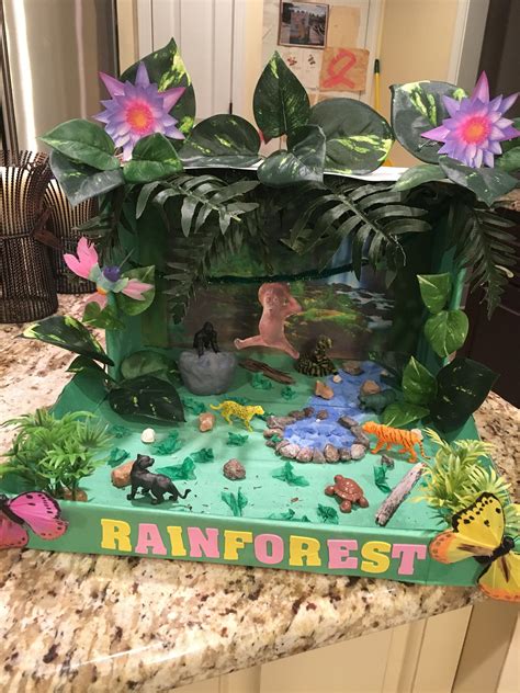 Rainforest biome project | Dinosaur projects, Diorama kids, Dinosaur ...