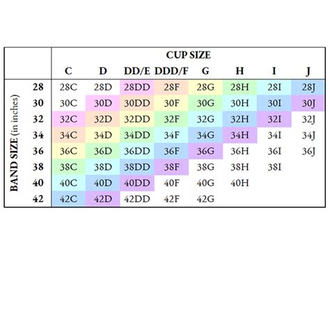 Bra Cup Size Chart Inches