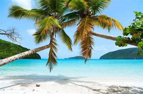 10 Best St John Beaches In USVI - Travel Explorator