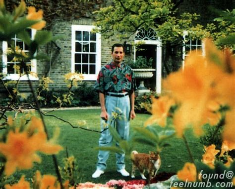 Last Photos Of Freddie Mercury - Image to u