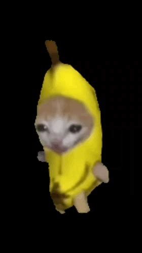 Banana Cat Walking GIF - Banana cat walking - Descubrir y compartir GIFs