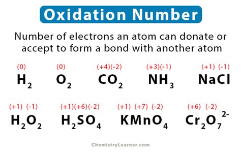 Oxidation Number (State): Definition, Rules, How to Find, and Examples