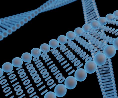 DNA Digital Data Storage for Bioinformatics Stock Illustration ...