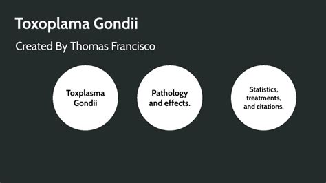 Toxoplasma Gondii by Thomas Francisco on Prezi