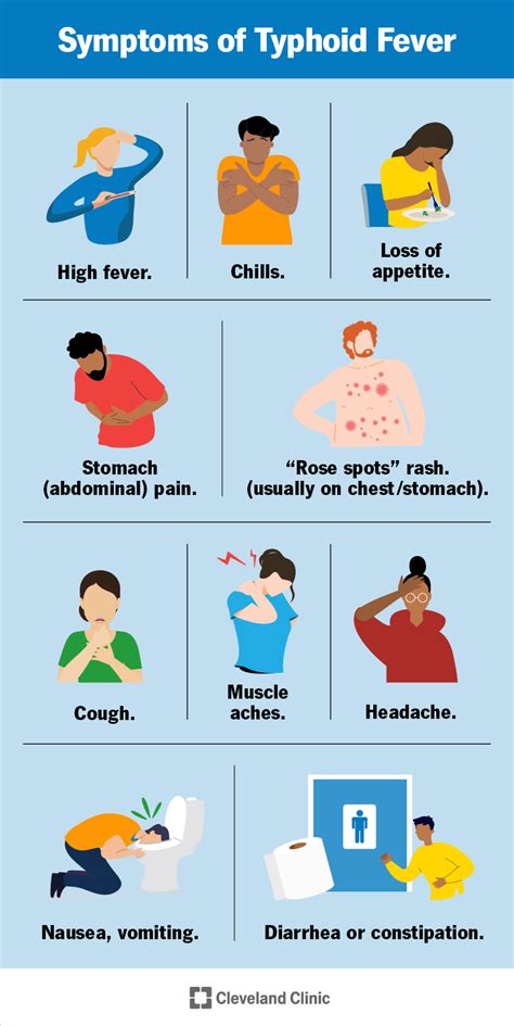 Typhoid Fever: Causes, Symptoms & Treatment