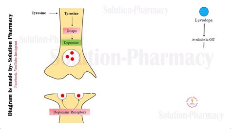 L dopa mechanism of action | inchem