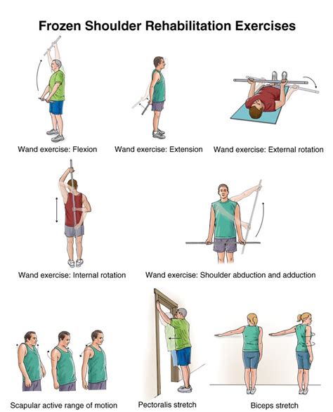 Shoulder Exercises for Stroke Patients | Richard Min