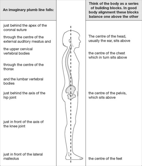 Plumb Line Posture Landmarks