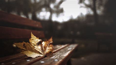 Remarkable Animated Fall Nature Gifs at Best Animations