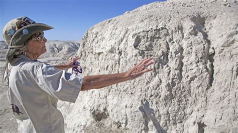 Ice Age Fossils State Park | Las Vegas Fossil Exploration