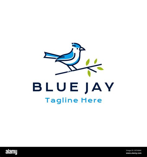 Blue jay bird logo design vector illustration Stock Vector Image & Art ...