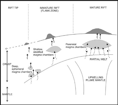 4: Schematic diagram showing relationship between the mantle plume ...