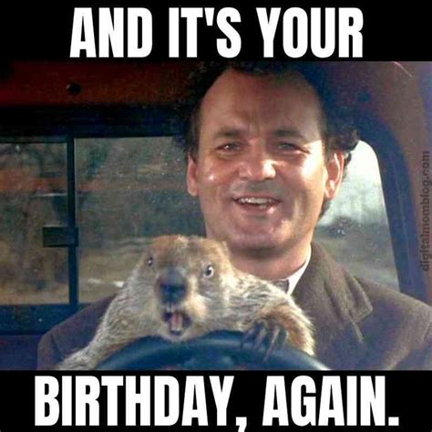 a man driving a car with a groundhog on his lap and it's your birthday ...