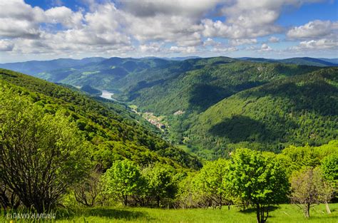 Vosges Mountains | In the Vosges Mountains, France | David Harding | Flickr