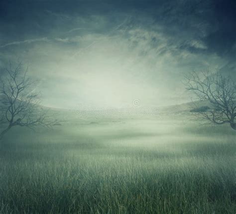 153,445 Scary Scary Halloween Background Stock Photos - Free & Royalty ...