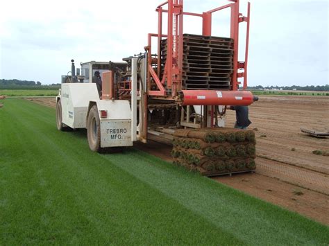 Sod Installation Guide – the 7 Main Steps to Installing Sod for Your Lawn