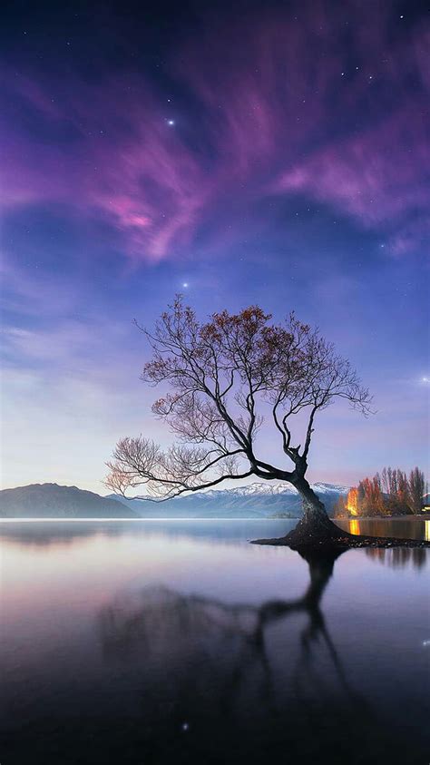 Scenery, lake, nature, sky, tree, water, HD phone wallpaper | Peakpx