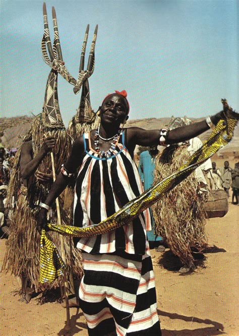 Pin on Field Photos of Tribal Art