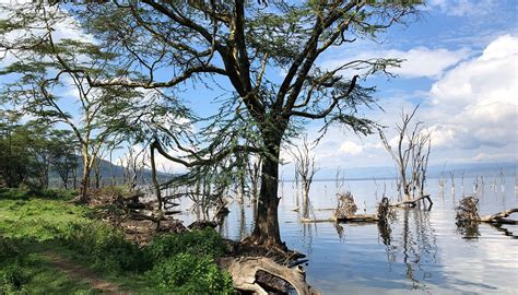 Exploring Kenya's Lake Nakuru National Park in a Wheelchair ...