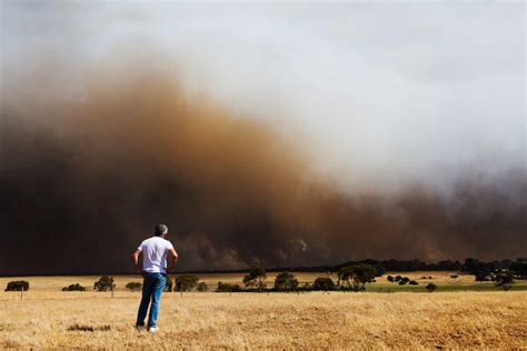 The Negative Impact of Wildfire Smoke on Mental Health