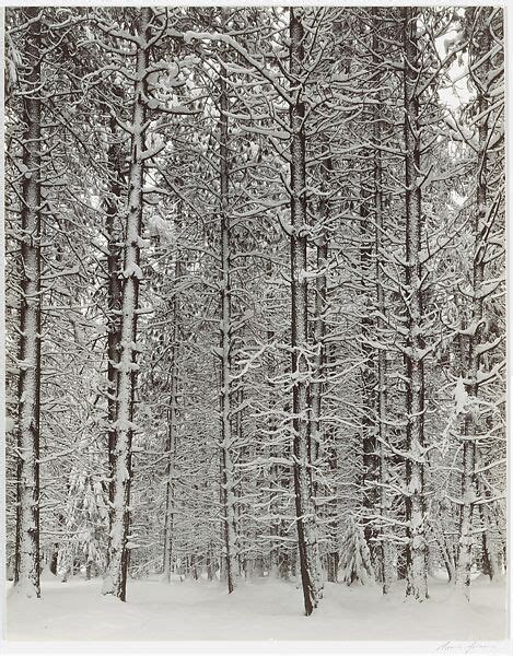 Ansel Easton Adams | Winter Yosemite Valley | The Metropolitan Museum ...