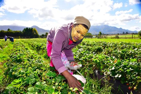 Regenerative Farming in South Africa - The Borgen Project