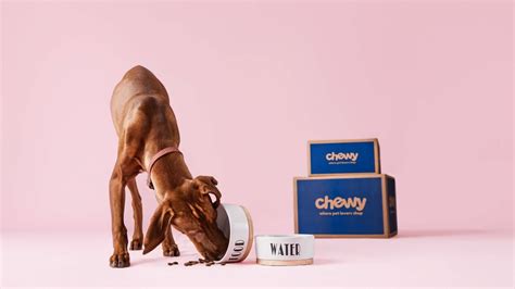 Chewy Blue Box Sale: Save up to 40% on pet products | Mashable