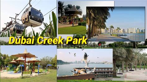 Dubai Creek Park - Ticket, Location & Things To Do (in 2024)