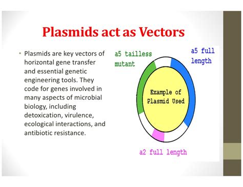 Vector Microbiology at GetDrawings | Free download