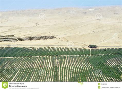 Agriculture - Growing in the Desert. Desert farming in the Negev ...