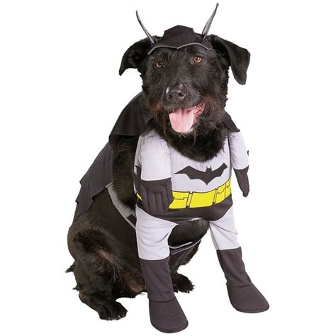 Batman Dog Pet Pet Costume - Small - Walmart.com - Walmart.com