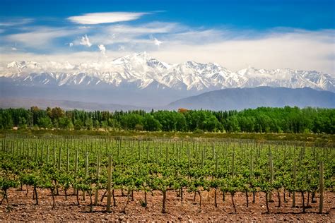 Your 2024 guide to Mendoza wine region | Winetourism.com