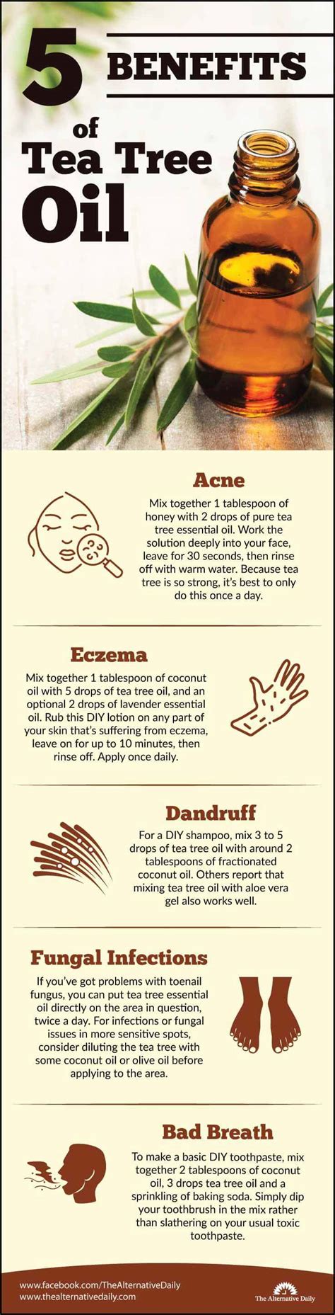 5 Must-Know Benefits Of Tea Tree Oil (And How To Use It)