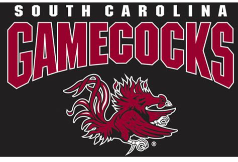 🔥 Download Usc Gamecocks South Carolina by @nicolereilly | Carolina ...