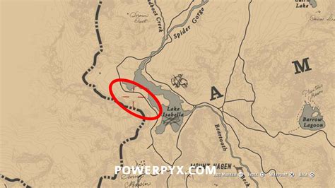 Red Dead Redemption 2 Wild Horse Breed Locations