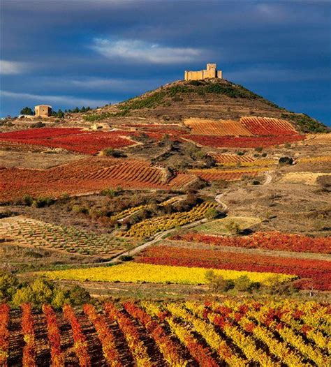 El paisaje de viñas riojano | Paisajes de españa, Viajar por españa ...