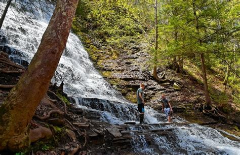 13 easy hiking trails in the Finger Lakes: See waterfalls, creeks, more ...