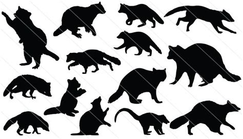 Raccoon Silhouette | Silhouette art, Animal silhouette, Silhouette vector