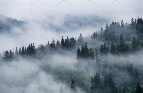 Foggy forest featuring landscape, mountain, and fog | Nature Stock ...