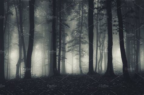 Dark haunted forest at night containing dark, forest, and fog | Haunted ...