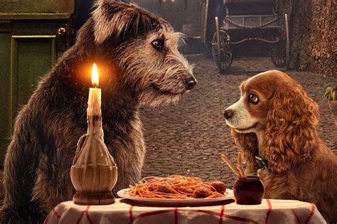 The trailer for Disney+'s 'Lady and the Tramp' is cute and kind of scary