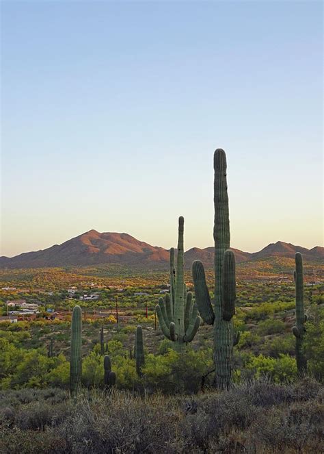 New River, Arizona, at Sunset Photograph by Gordon Beck - Pixels