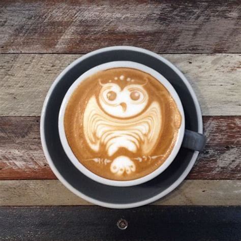 Owl Latte Art | Latte art, Cafe latte, Latte