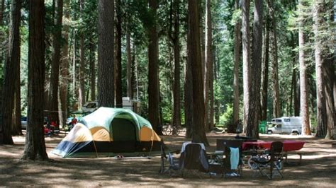 Manitobans book nearly 14K campsites on opening day of reservations ...