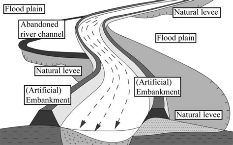 Schematic illustration of natural levees in the floodplain | Download ...