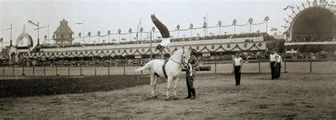 What is Equestrian Vaulting?