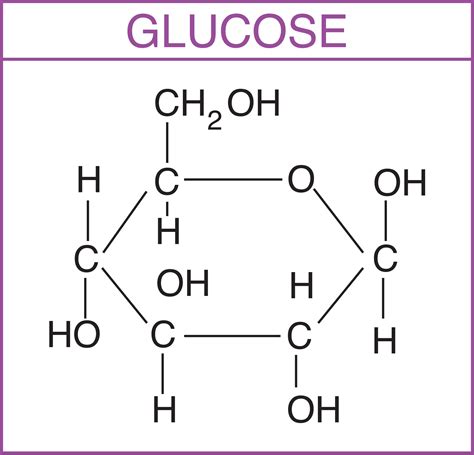 What Is the General Term for Any Carbohydrate Monomer